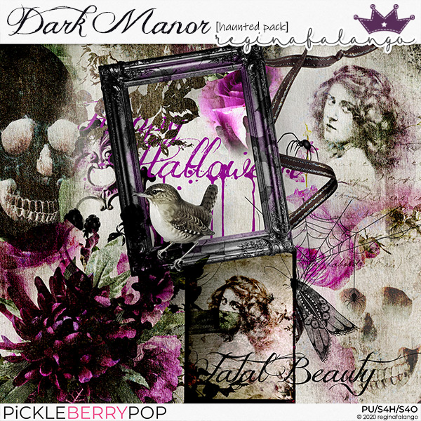 DARK MANOR HAUNTED PACK 