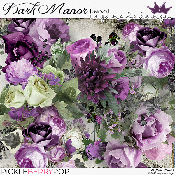 DARK MANOR CLUSTERS