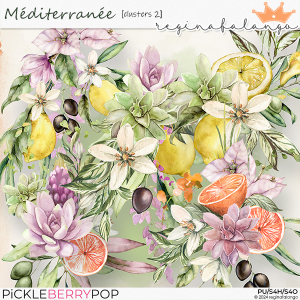 MEDITERRANEE CLUSTERS 2