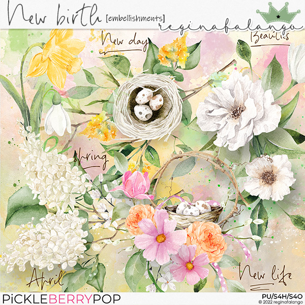 NEW BIRTH EMBELLISHMENTS