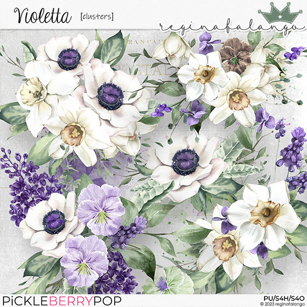 VIOLETTA CLUSTERS