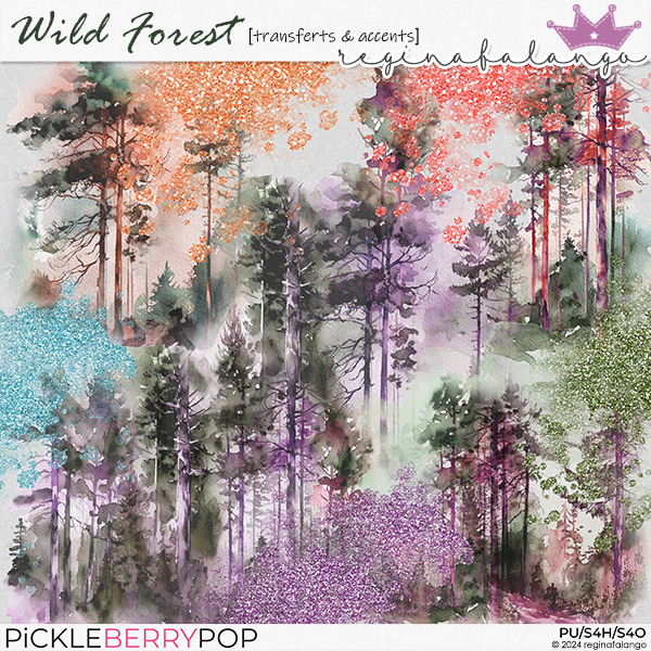 WILD FOREST TRANSFERS & ACCENTS