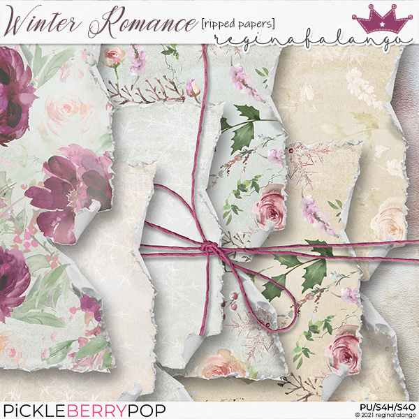 WINTER ROMANCE RIPPED PAPERS