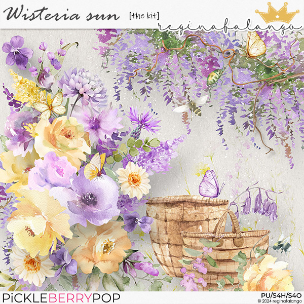 WISTERIA SUN THE KIT