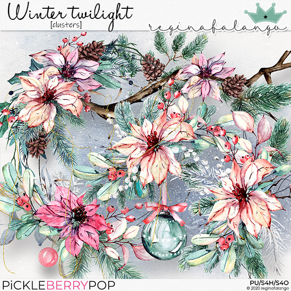 WINTER TWILIGHT CLUSTERS