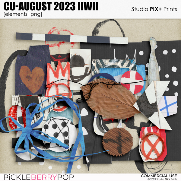 CU - August 2023 IIWII