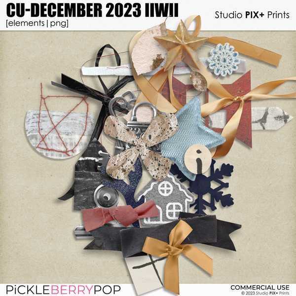 CU - December 2023 IIWII