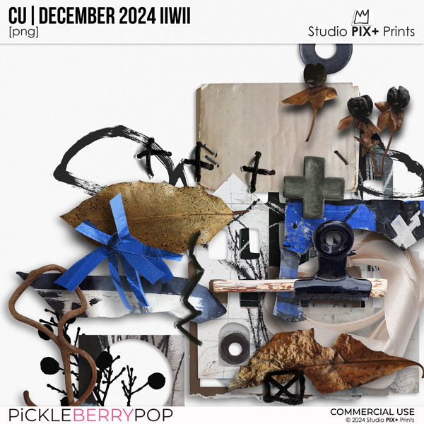 CU - December 2024 IIWII