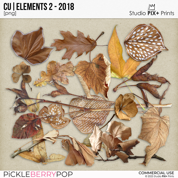CU - Elements 2 - 2018