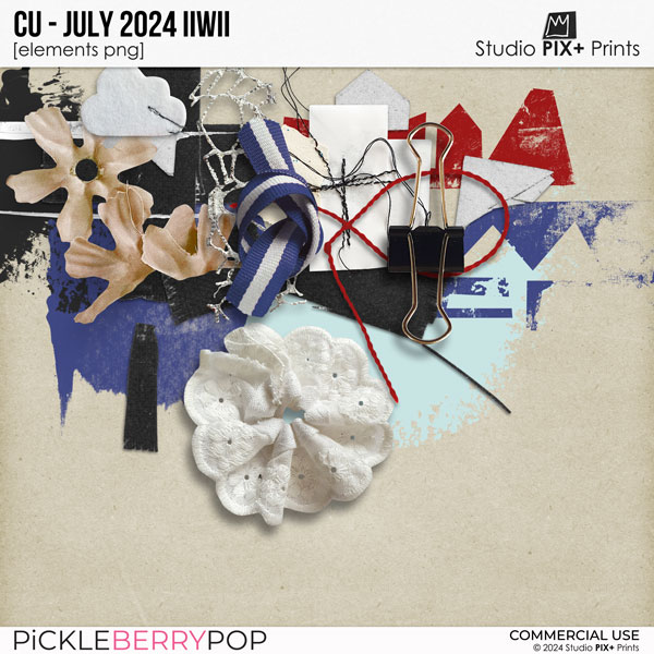 CU - July 2024 IIWII