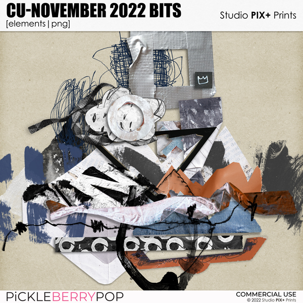 CU - November 2022 Bits