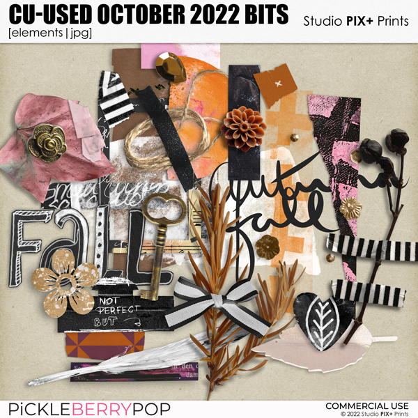 CU - Used October 2022 Bits