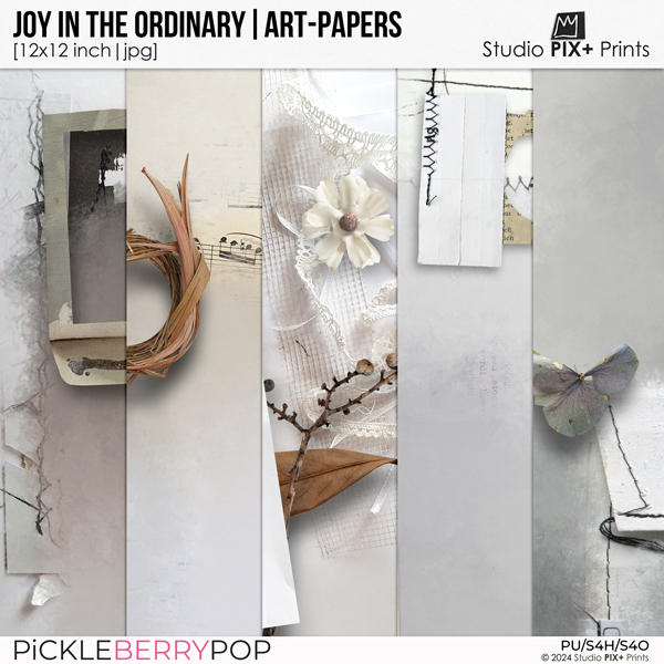 Joy In The Ordinary - artpapers 