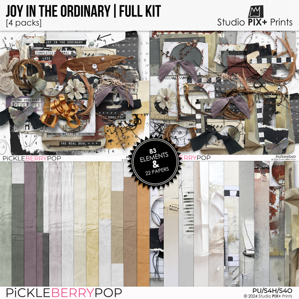 Joy In The Ordinary - full kit