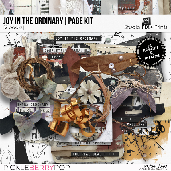 Joy In The Ordinary - page kit