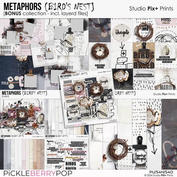 Metaphors: Bird's Nest - BONUS collection