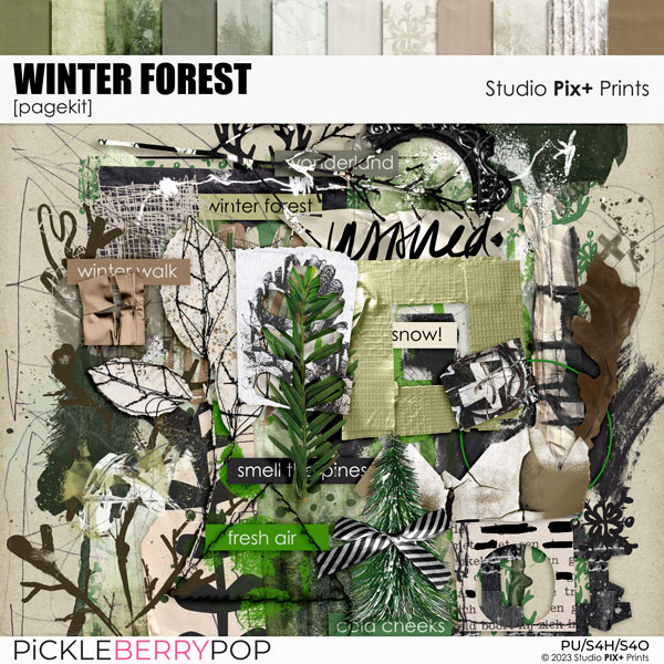 Winter Forest - Kit