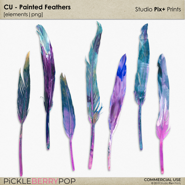 CU - Painted Feathers 