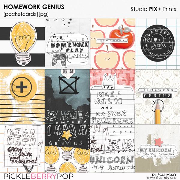 Homework Genius - Pocketcards