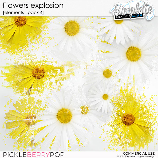 Flowers Explosion - pack 4 (CU elements)