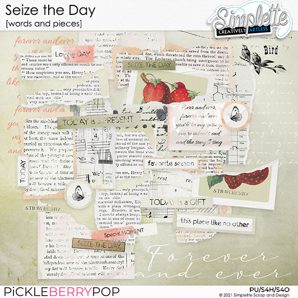 Seize the Day (words and pieces) by Simplette