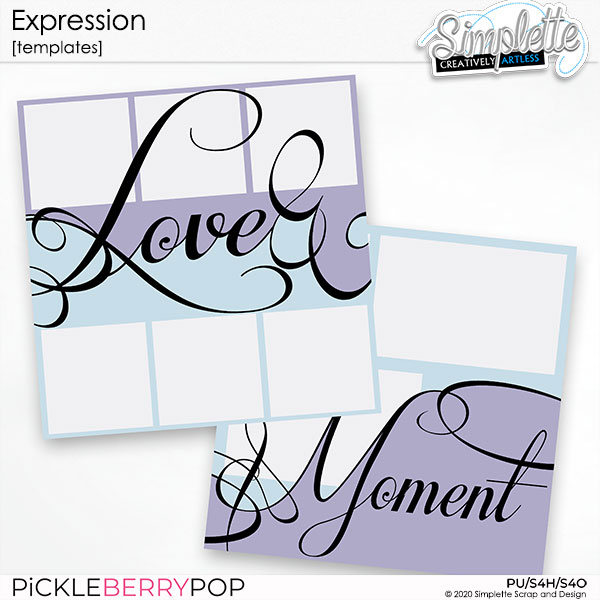 Expression (templates)