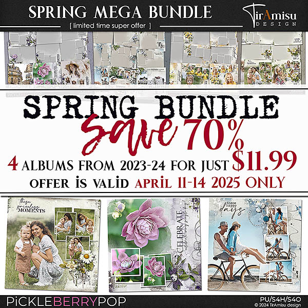 Spring Art Albums Mega-Bundle 