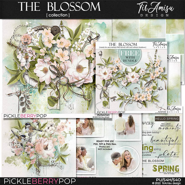 The Blossom Bundle Plus Free Gift