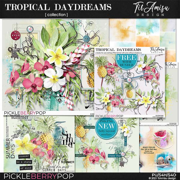 Tropical Daydreams Bundle  