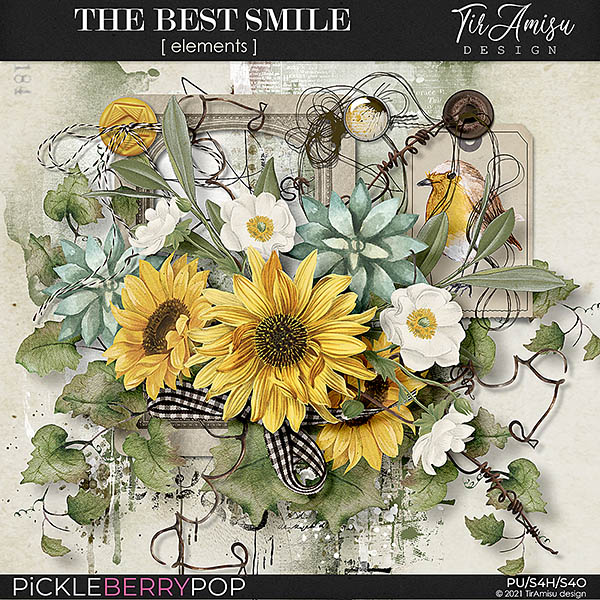 The Best Smile ~ Basic Kit  