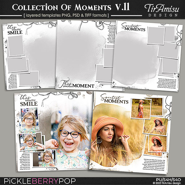 Collection Of Moments Templates vol.11 ~ June