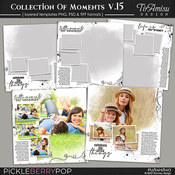 Collection Of Moments Templates vol.15 ~ August