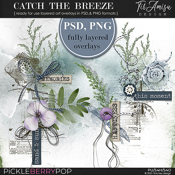 Catch The Breeze ~ Fully Layered Art Overlays 