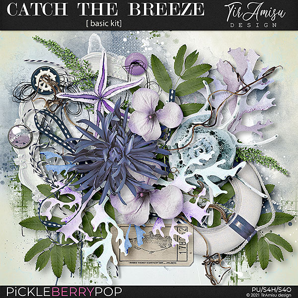 Catch The Breeze ~ Basic Kit 