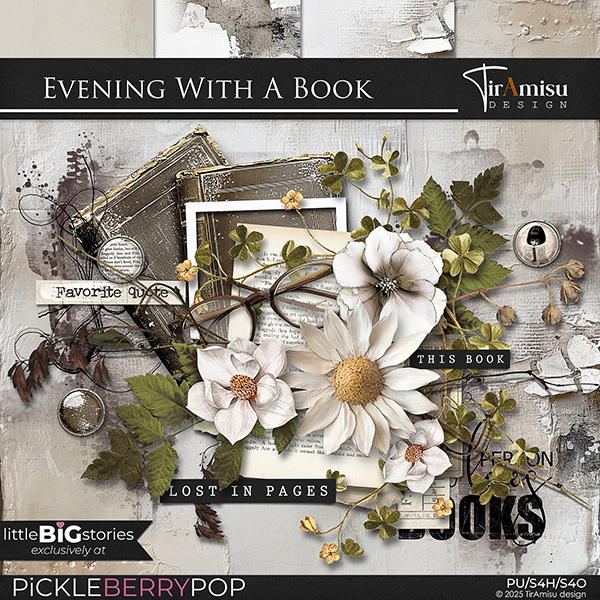 Evening With A Book