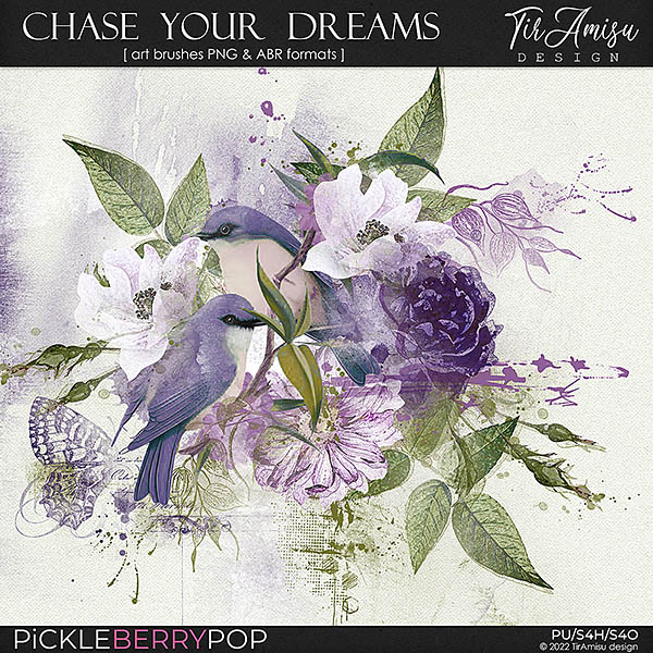 Chase Your Dreams ~ brushes 