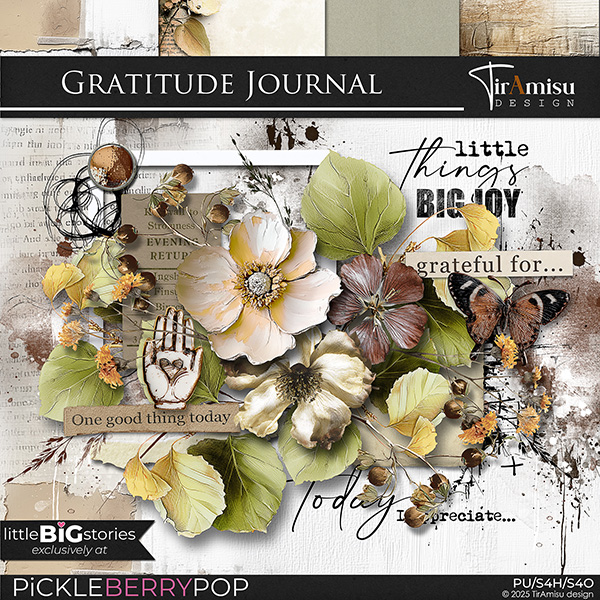 Gratitude Journal:  LittleBIGstories by TirAmisu design