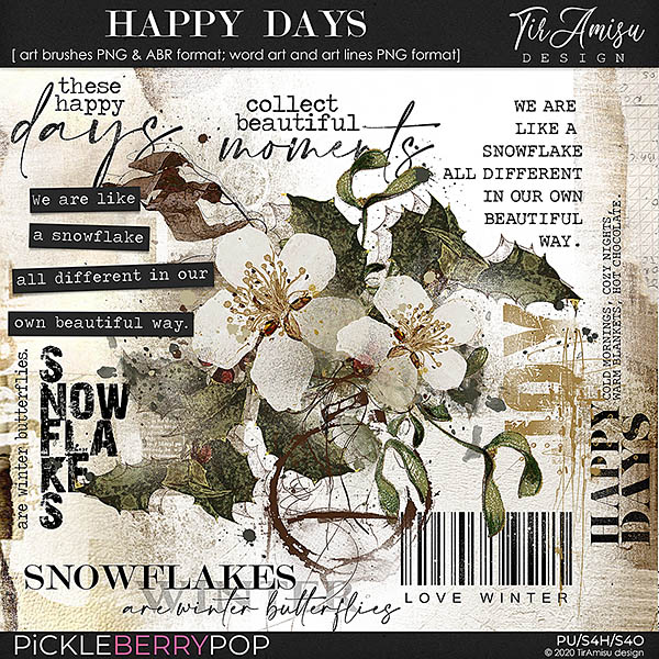 My Happy Day ~ brushes and word art by TirAmisu design 