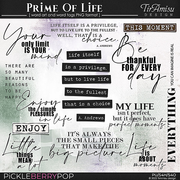 Prime Of Life ~ Word Art 