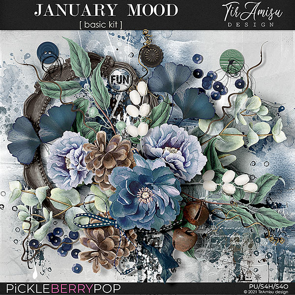 January Mood ~ Basic Kit by TirAmisu design 