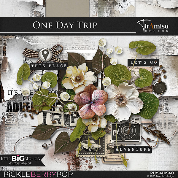 One Day Trip