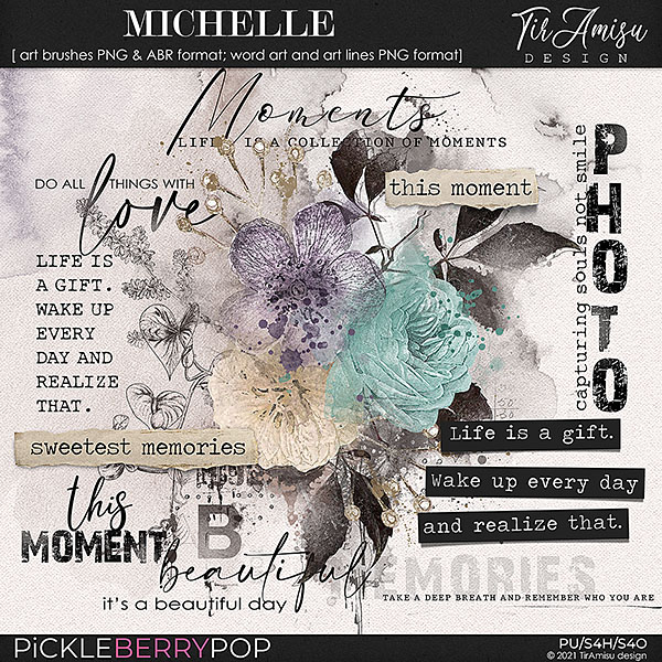 Michelle ~ brushes and word art by TirAmisu design