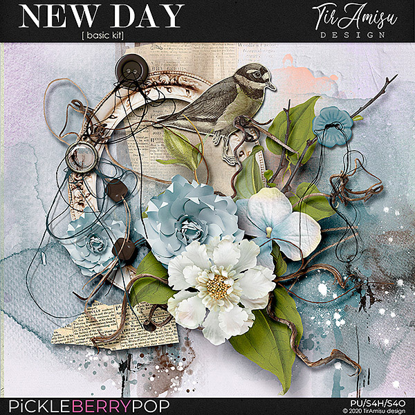 New Day ~ basic kit  by TirAmisu design 