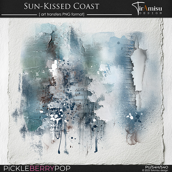 Sun-Kissed Coast~ art transfers 