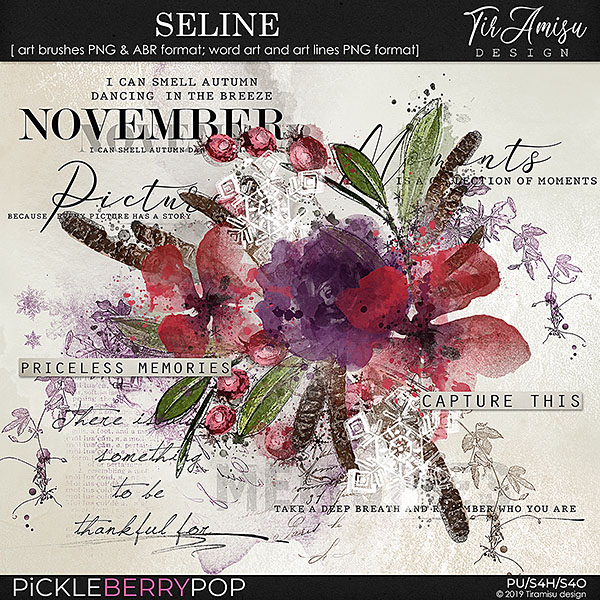 Seline ~ watercolor brushes and word art    