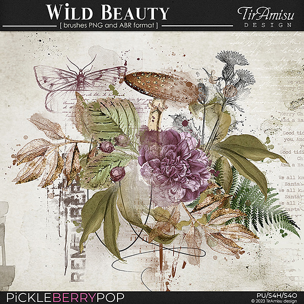 Wild Beauty ~ art brushes