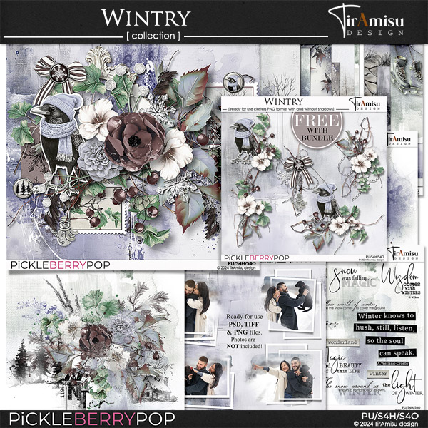 Wintry Bundle by TirAmisu design