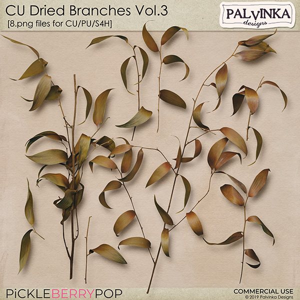 CU Dried Branches Vol.3