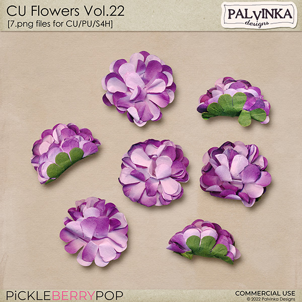 CU Flowers 22