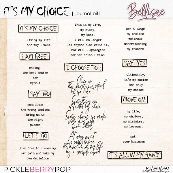 IT'S MY CHOICE | journal bits by Bellisae IT'S MY CHOICE | journal bits by Bellisae